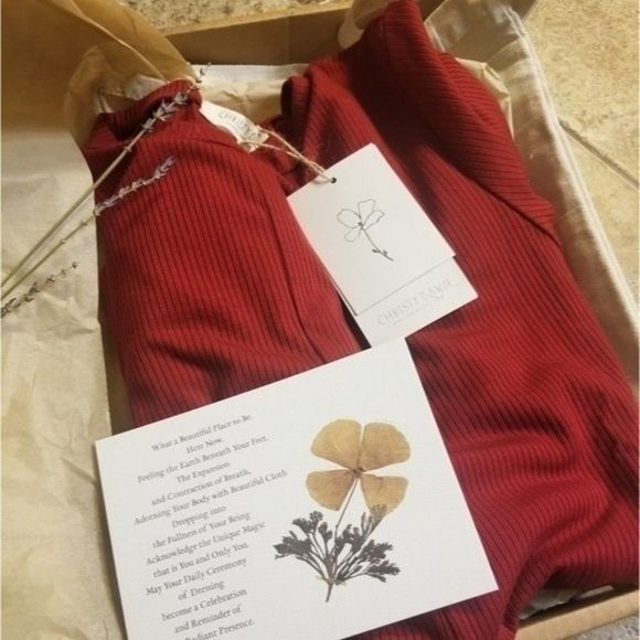 Christy Dawn Bowie Prairie Dress  Cranberry - Picture 9 of 16